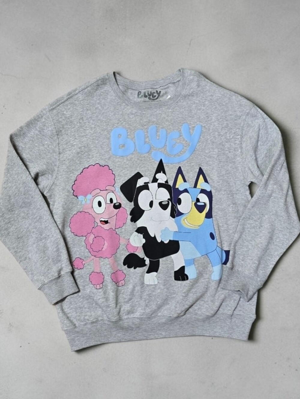 Bluey Womens Size Large Grey BEST BUDDIES Casual Crew Neck Sweatshirt NWT